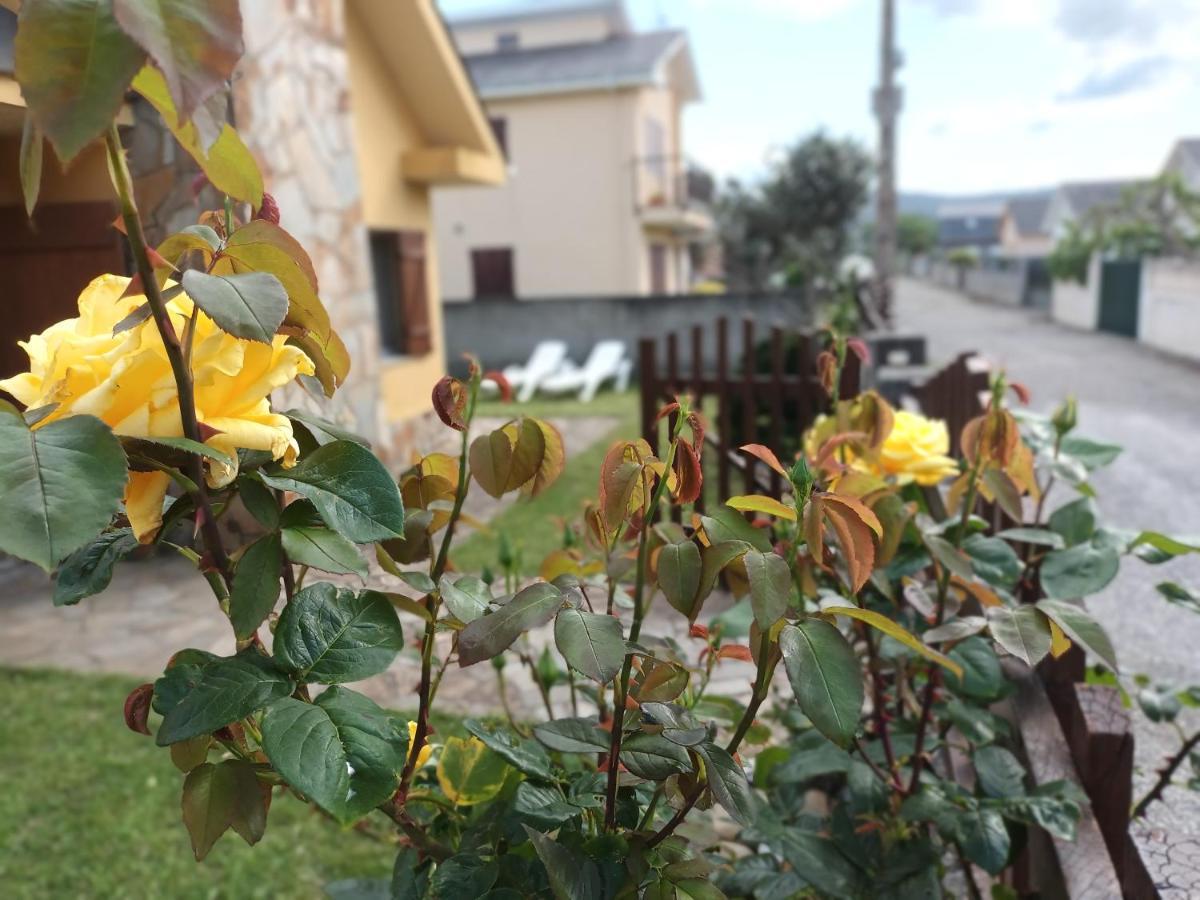 Holiday home Casa Icaro